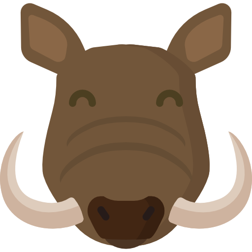 Wild Boar