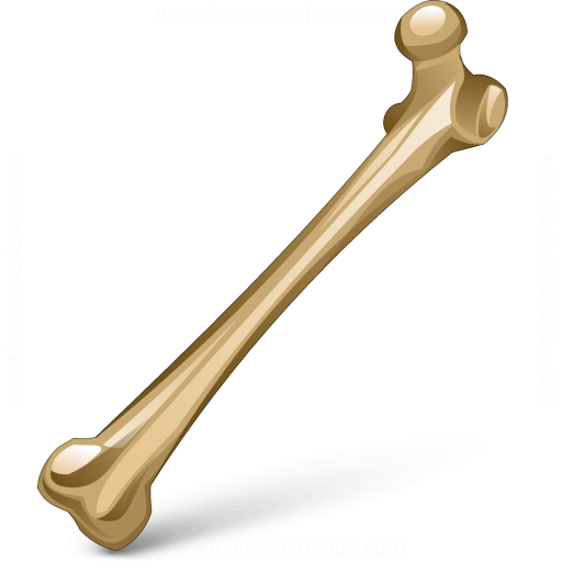 Iconexperience V Collection Bone Icon