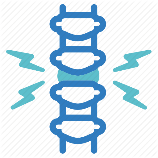 Spine Icon Transparent Png Clipart Free Download