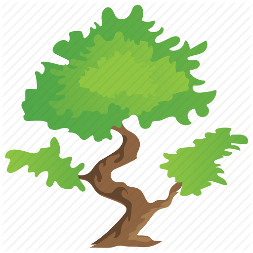 Bonsai Tree, Decorative Tree, Grafting, Small Trees, Umbrella Tree