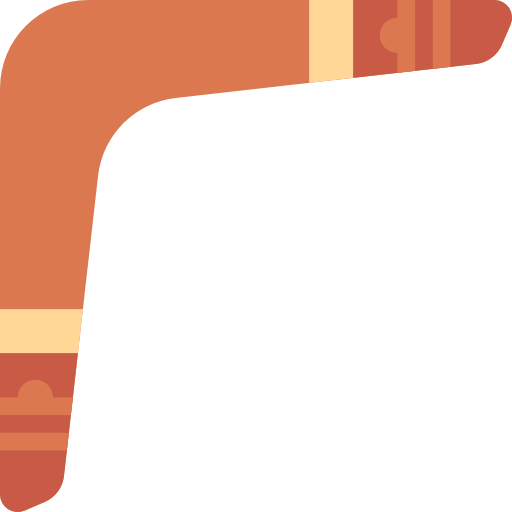 Boomerang Icon