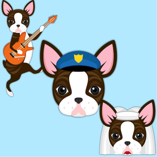 Boston Terrier Shuffle Chocolate