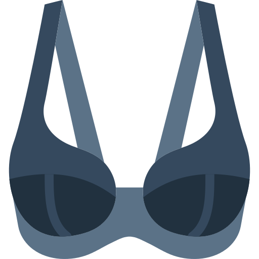 Brassiere Bra Png Icon