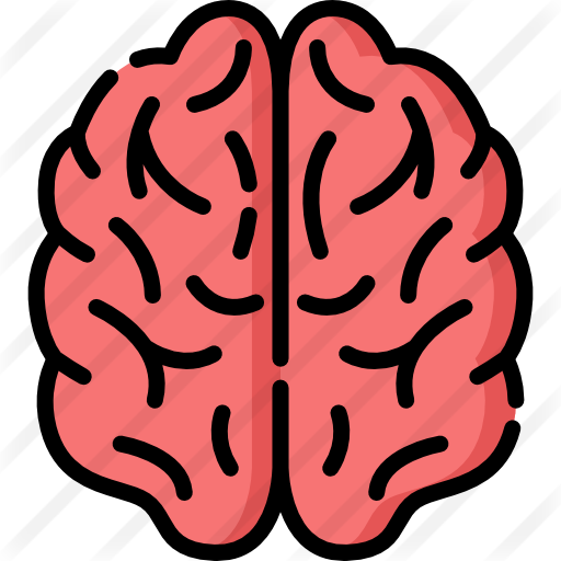 Brain
