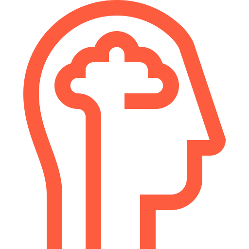 Education Head Bran Png And Vector For Free Download