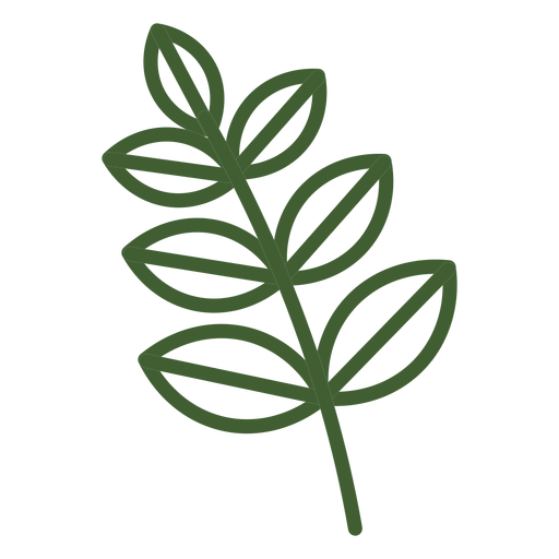 Simple Leaves On Branch Icon