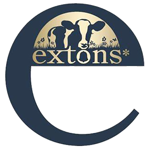 Logos And Brand Guides