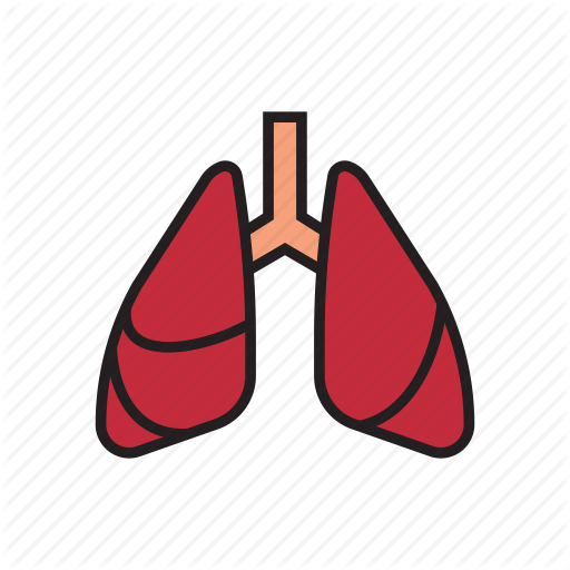 Body, Breath, Breathe, Human, Internal Organs, Lungs, Organs Icon