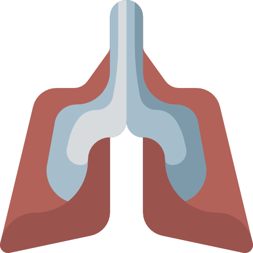 Medical, Healthcare And Medical, Breath, Anatomy, Organ, Lung