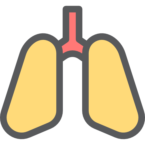 Medical, Lung, Healthcare And Medical, Organ, Lungs, Breath