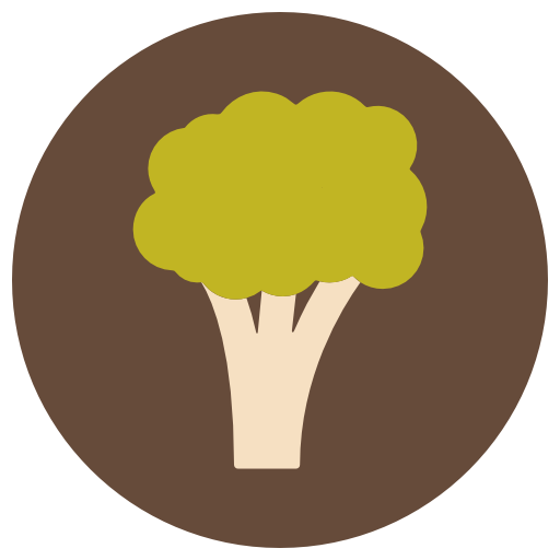 Broccoli Icon