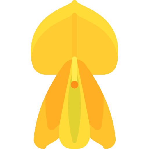 Broom Free Vector Icons Designed