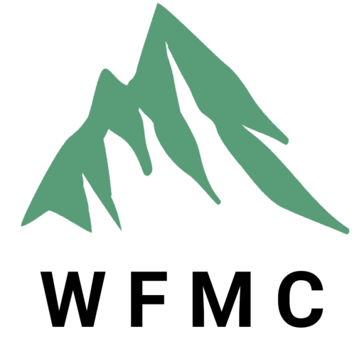 Cropped Browser Icon Waynesboro Free Methodist