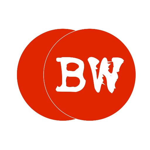 Bubble Wrap Creations