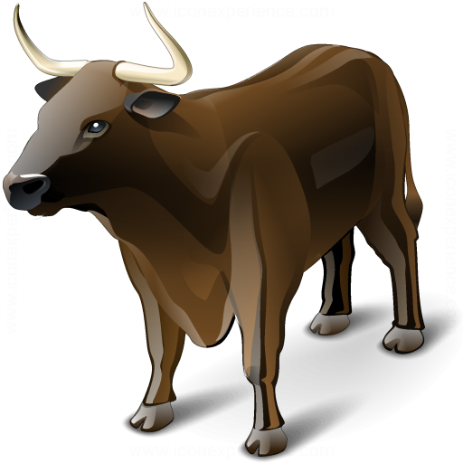 Iconexperience V Collection Bull Icon