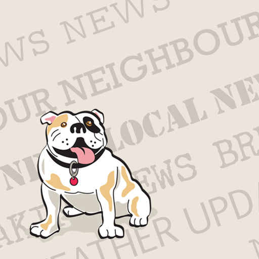 The South Bayview Bulldog A Unique Local News Service