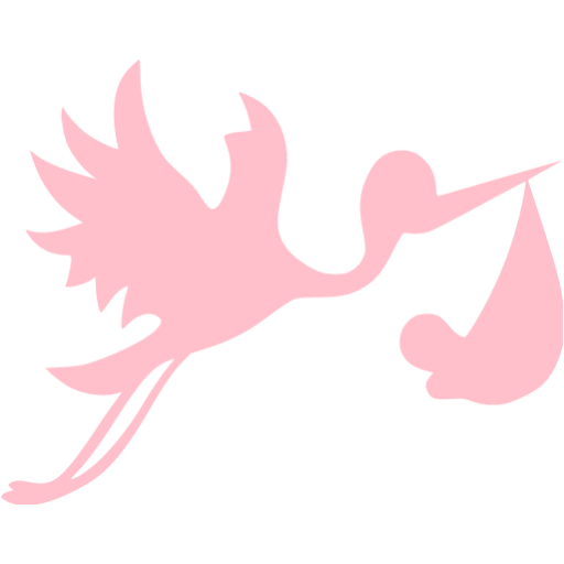 Pink Flying Stork With Bundle Icon