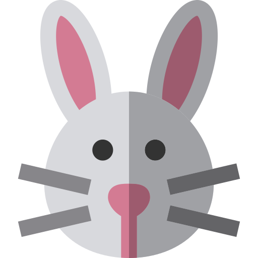 Bunny Png Icon