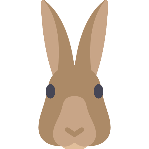 Bunny Icon