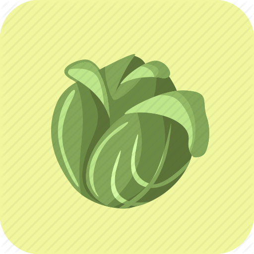 Cabbage, Food, Head, Lettuce, Vegetable Icon