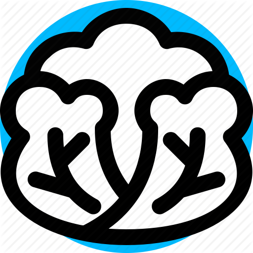 Cabbage, Food, Vegetable Icon