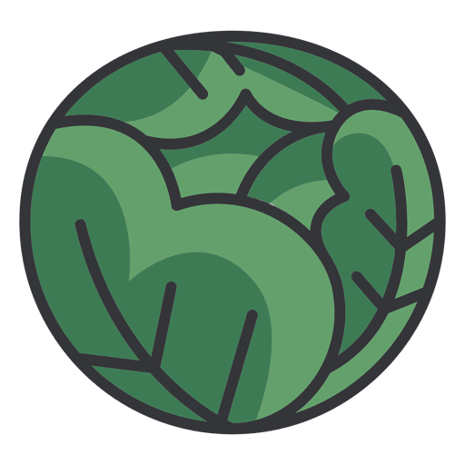 Cabbage Icon