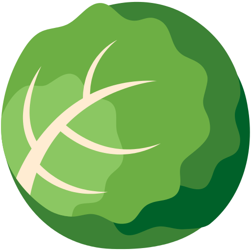 Cabbage Icon