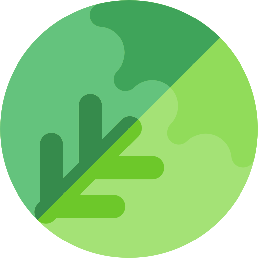 Food, Fruit, Organic, Diet, Vegetarian, Healthy Food, Cabbage