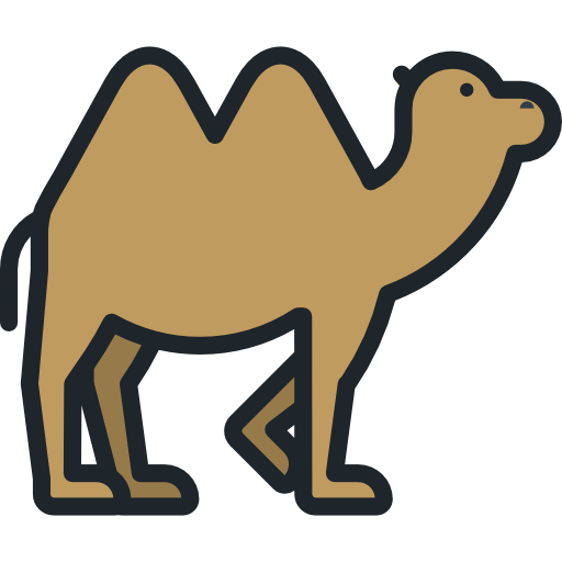 Camel, Zoo, Animals, Wild Life, Animal Kingdom, Animal Icon