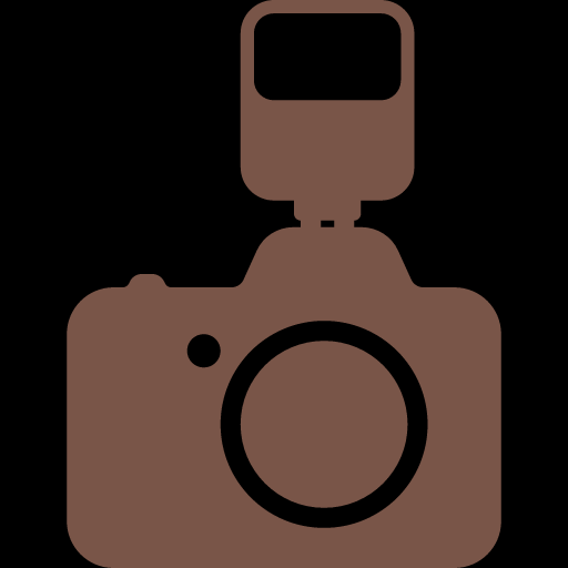 Pictures Of Camera Flash Icon Vector