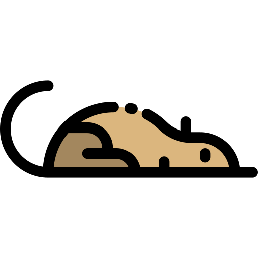 Shrew Png Icon