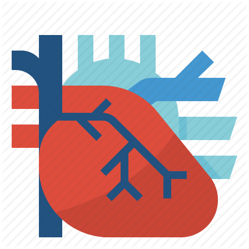 Cardio, Cardiology, Cardiovascular, Circulation, Heart Icon