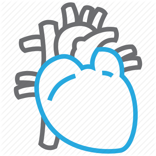 The best free Cardiovascular icon images. Download from 26 free icons ...