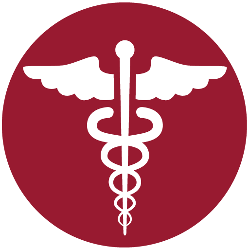 Medicare All County Health Care Icon