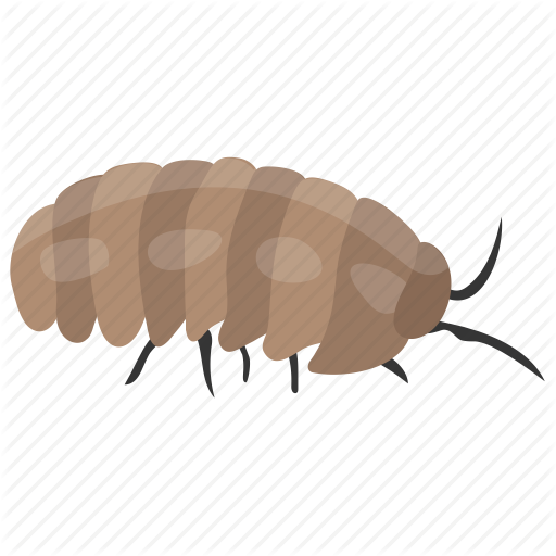 Animal, Caterpillar, Insect, Invertebrates, Tropical Insect Icon