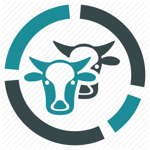 Cattle, Cow, Diagram, Farm, Infographic, Livestock Icon