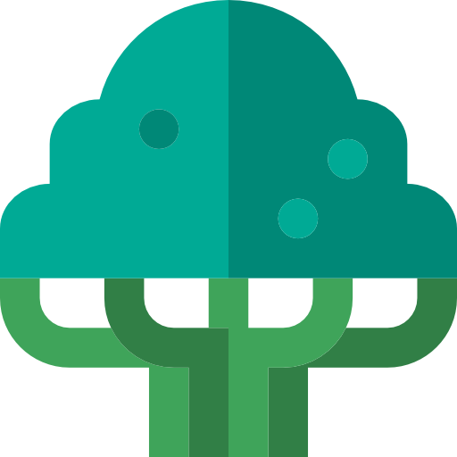 Ecology, Nature, Cedar, Tree, Botanical Icon