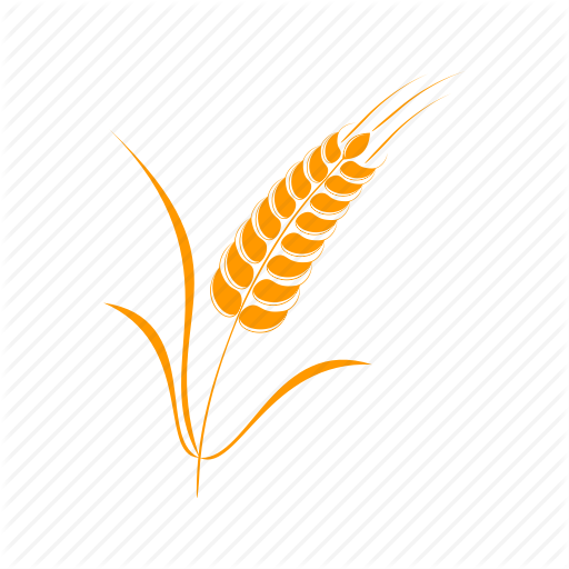 Fairfield Icon Fairfield, Wa