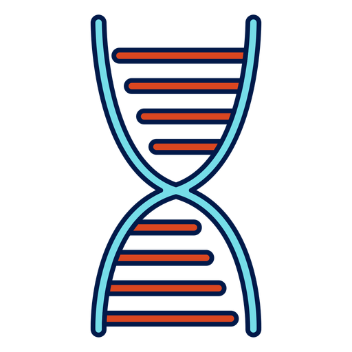 Dna Chain School Icon