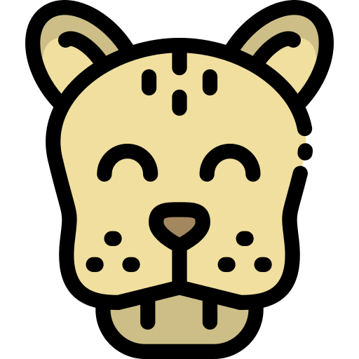 Cheetah Png Icon