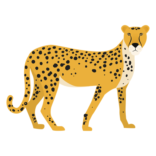 Cheetah Illustration