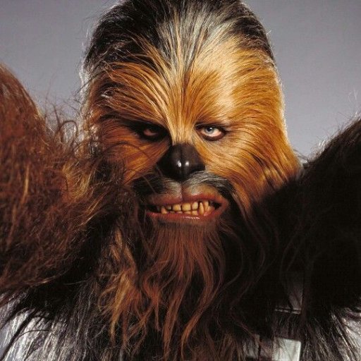 Chewbacca Icon at GetDrawings | Free download