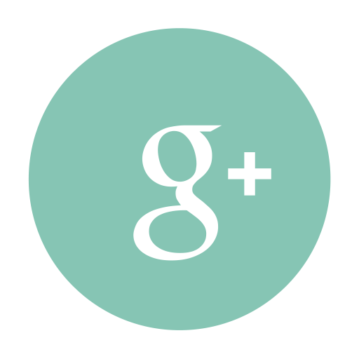 Google Plus Red Logo Png Images