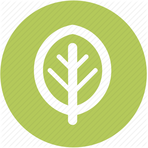 Icon's New Course Schedule