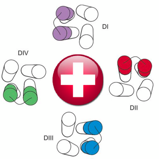 Hugues Abriel On Twitter Mohamed Boutjdir Revisits