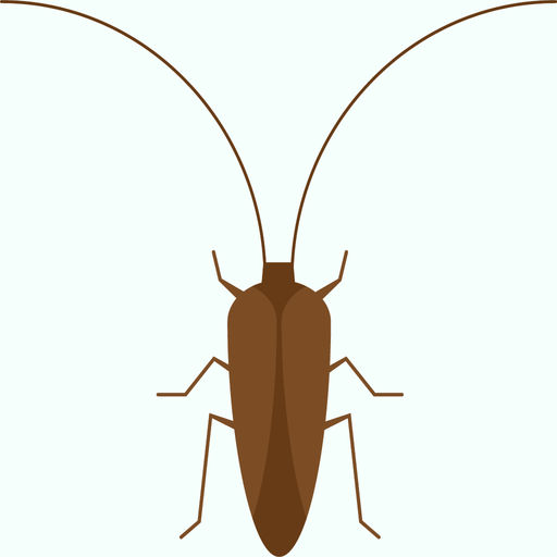 Cockroach Coco