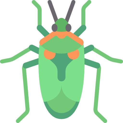 Bug, Insect, Animals, Cockroach, Animal Kingdom Icon