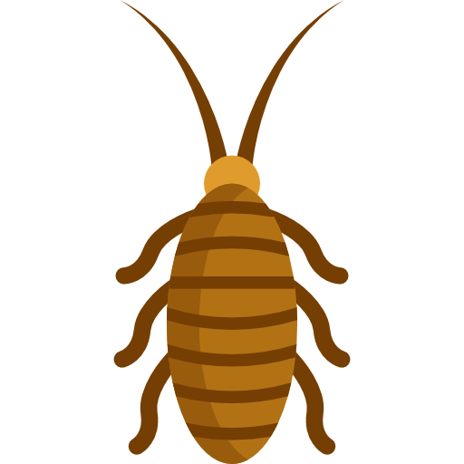 Cockroach Icon