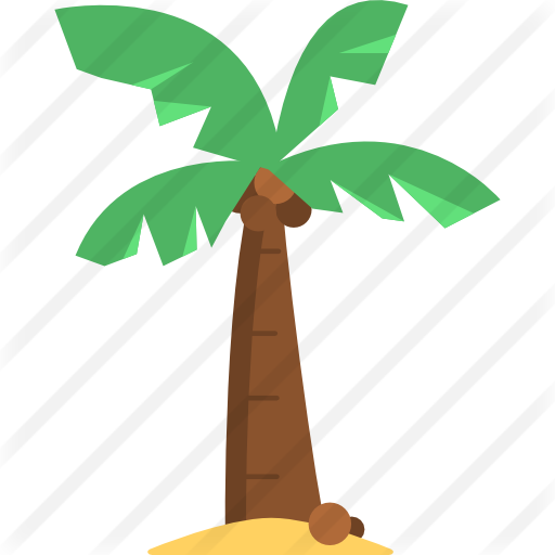 Coconut Tree