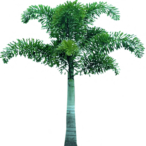 Download Free Palm Tree Png Icon Favicon Freepngimg